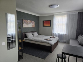 Old Riga over the river, Free parking, up to 4ppl. Self Check-in\out
